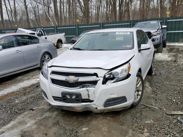 1G11D5RR8DF103413 - 2013 CHEVROLET MALIBU 1LT 白色 照片 2