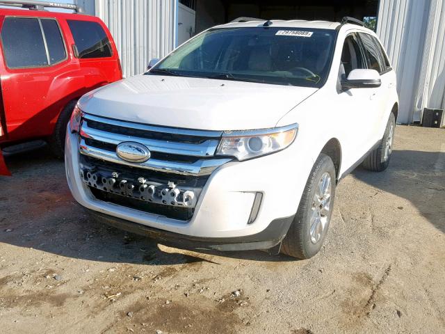 2FMDK3JC3DBE06067 - 2013 FORD EDGE SEL WHITE photo 2