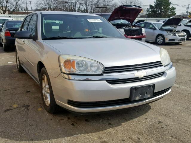 1G1ZT62874F221353 - 2004 CHEVROLET MALIBU MAX ვერცხლისფერი ფოტო 1