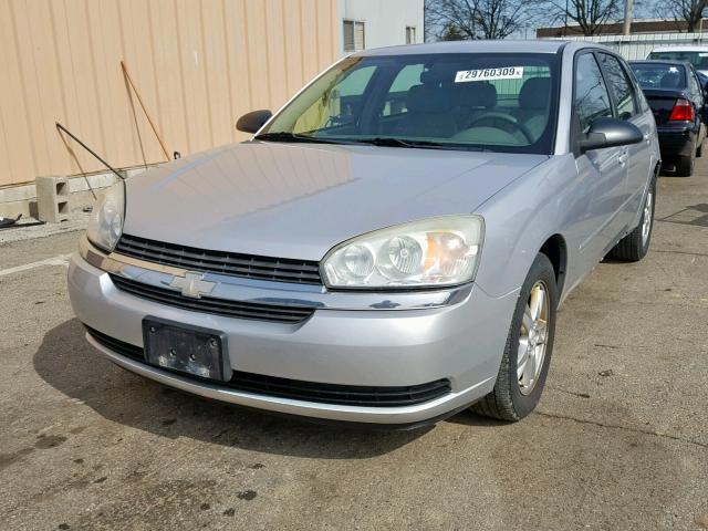 1G1ZT62874F221353 - 2004 CHEVROLET MALIBU MAX ვერცხლისფერი ფოტო 2