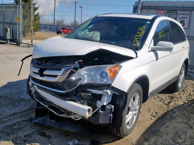 5J6RE4H74BL024704 - 2011 HONDA CR-V EXL WHITE photo 2