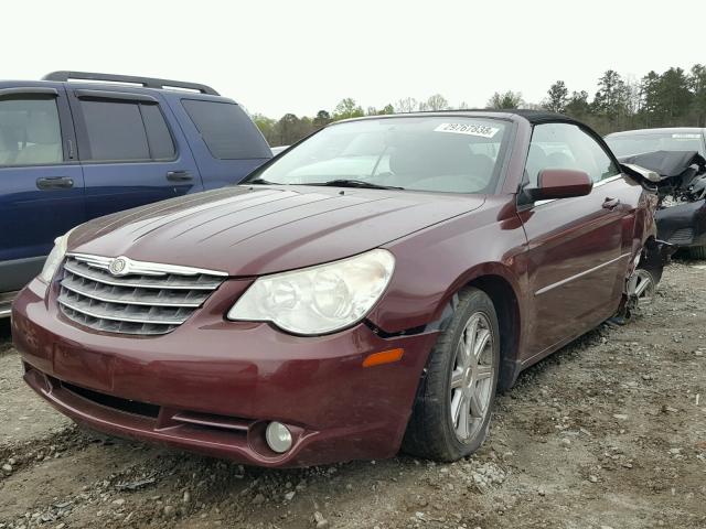 1C3LC55R48N642524 - 2008 CHRYSLER SEBRING TO BURGUNDY photo 2