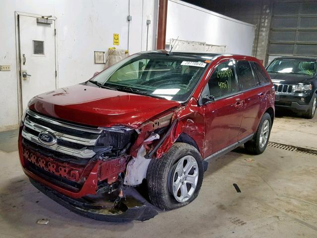 2FMDK4JC0EBB33659 - 2014 FORD EDGE SEL MAROON photo 2