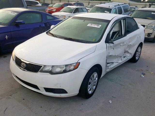 KNAFU4A25C5604850 - 2012 KIA FORTE EX WHITE photo 2