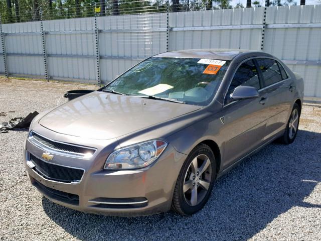 1G1ZC5E1XBF116148 - 2011 CHEVROLET MALIBU 1LT GOLD photo 2
