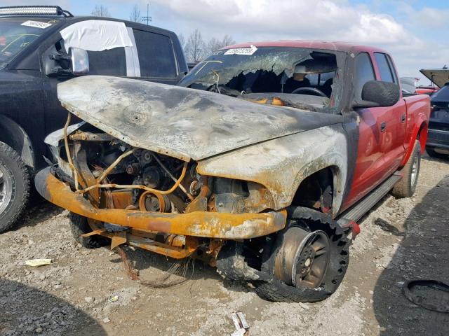 1B7HG2AZ4YS608563 - 2000 DODGE DAKOTA QUA RED photo 2