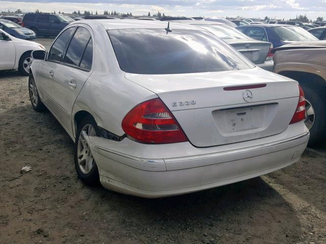 WDBUF65J74A448125 - 2004 MERCEDES-BENZ E 320 WHITE photo 3