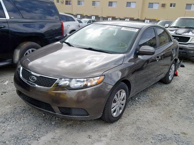 KNAFU4A20B5895871 - 2011 KIA FORTE EX BROWN photo 2