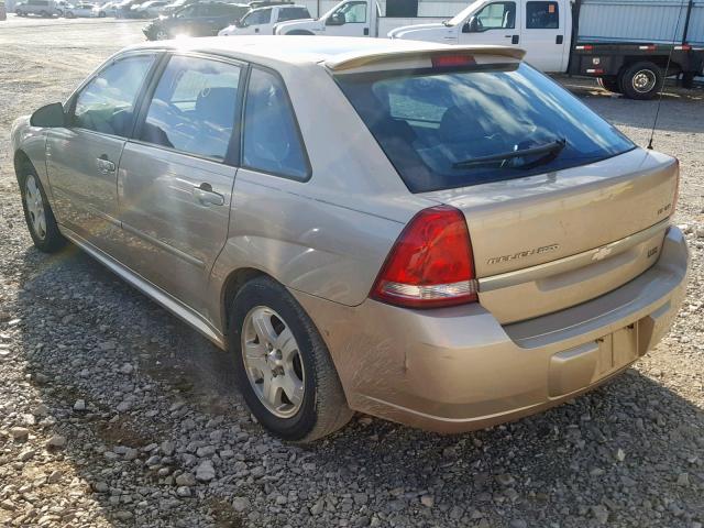 1G1ZU64825F103772 - 2005 CHEVROLET MALIBU MAX BEIGE photo 3