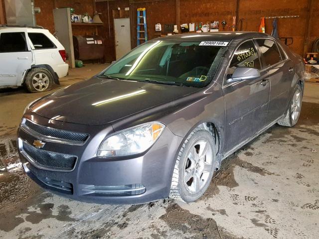 1G1ZC5EB9AF275802 - 2010 CHEVROLET MALIBU 1LT ბეჟი ფოტო 2