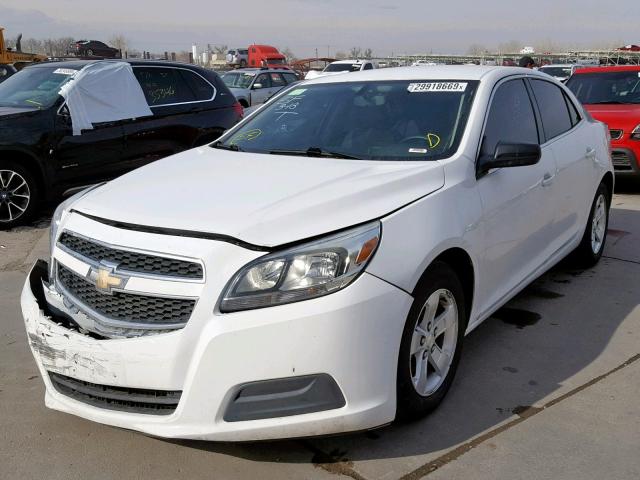 1G11B5SAXDF333299 - 2013 CHEVROLET MALIBU LS WHITE photo 2