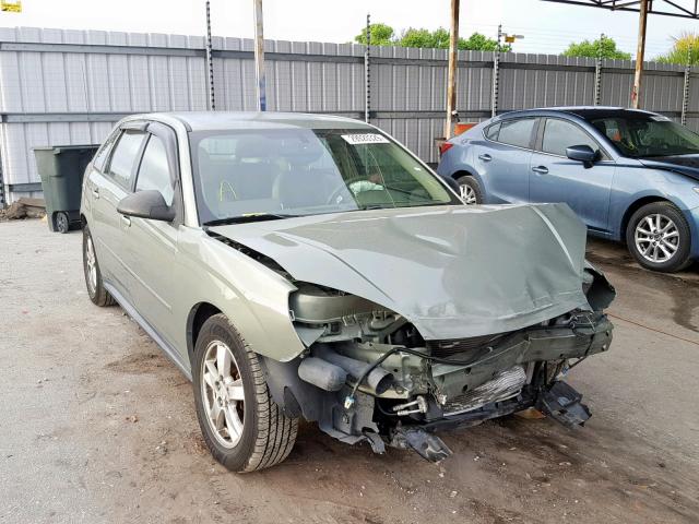 1G1ZT64824F207518 - 2004 CHEVROLET MALIBU MAX მწვანე ფოტო 1
