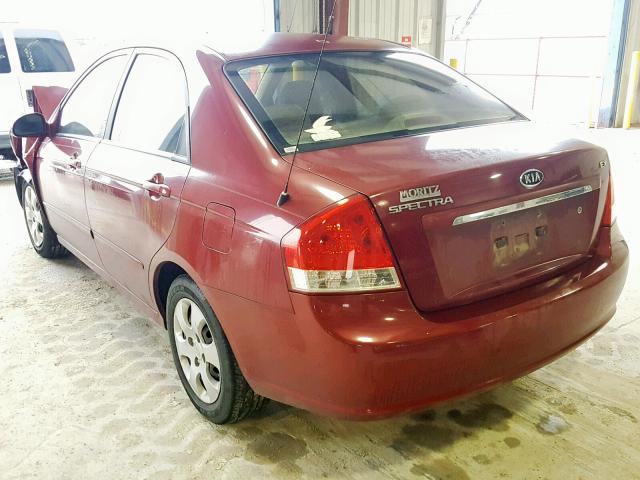 KNAFE121075401601 - 2007 KIA SPECTRA EX RED photo 3