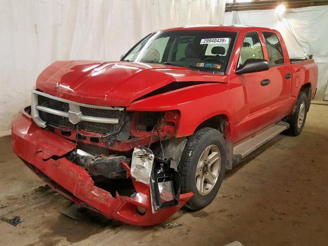 1D7RW3GK1BS572027 - 2011 DODGE DAKOTA SLT RED photo 2