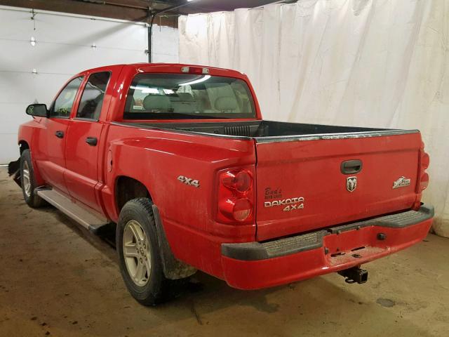 1D7RW3GK1BS572027 - 2011 DODGE DAKOTA SLT RED photo 3