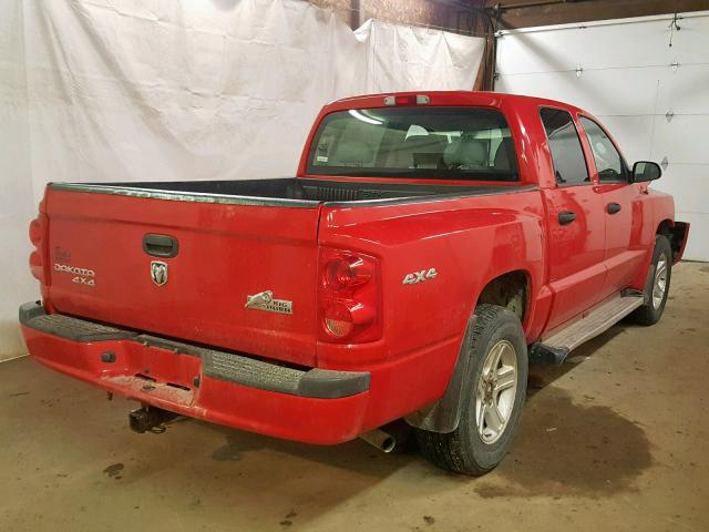 1D7RW3GK1BS572027 - 2011 DODGE DAKOTA SLT RED photo 4