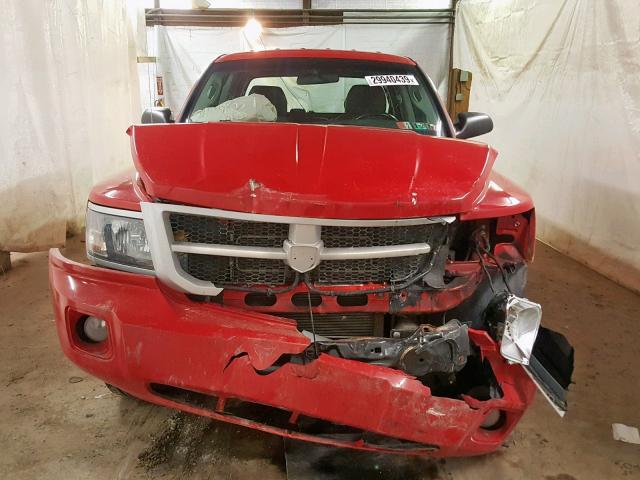 1D7RW3GK1BS572027 - 2011 DODGE DAKOTA SLT RED photo 7