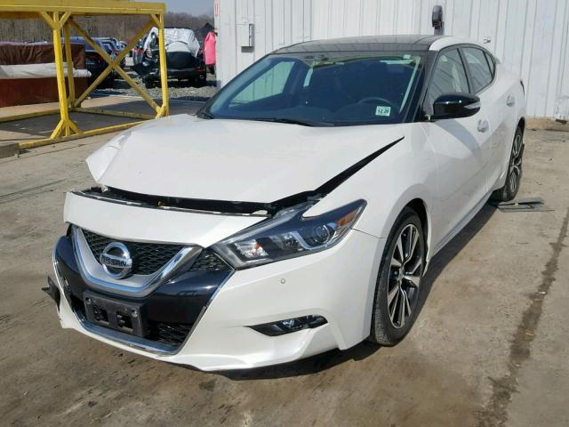 1N4AA6AP3GC415019 - 2016 NISSAN MAXIMA 3.5 WHITE photo 2