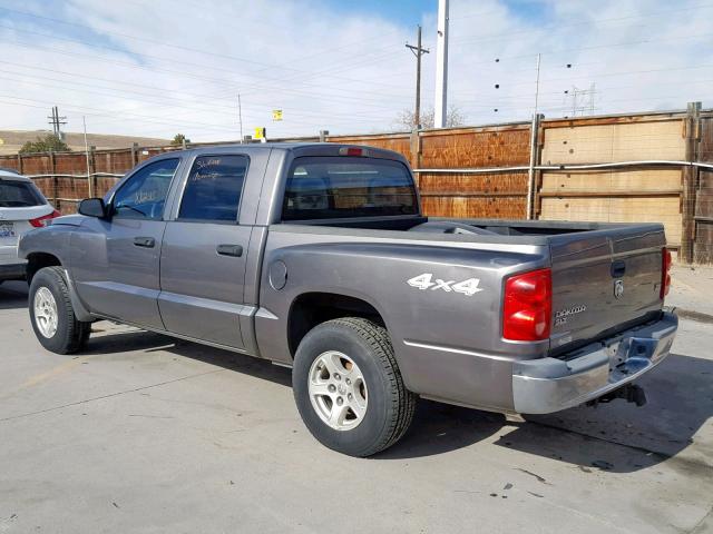 1D7HW48N15S224582 - 2005 DODGE DAKOTA QUA GRAY photo 3