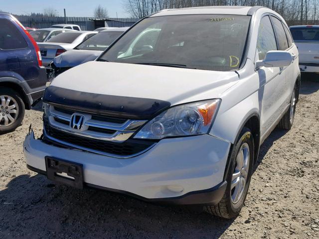 5J6RE4H74AL076218 - 2010 HONDA CR-V EXL WHITE photo 2