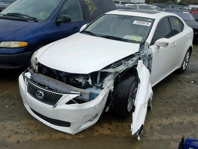 JTHBF5C27A2095744 - 2010 LEXUS IS 250 WHITE photo 2