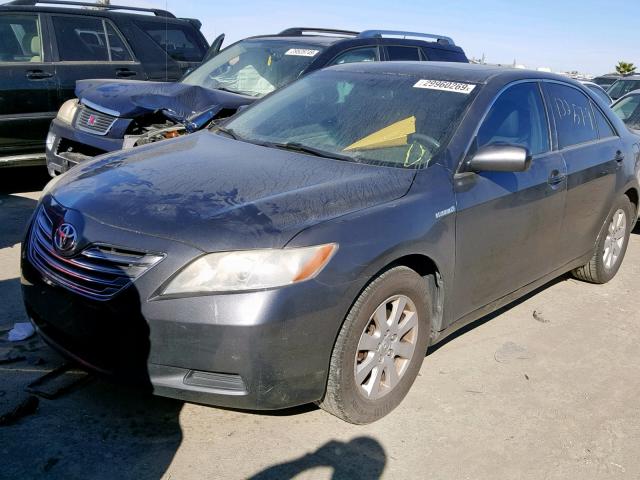 4T1BB46K08U033776 - 2008 TOYOTA CAMRY HYBR GRAY photo 2