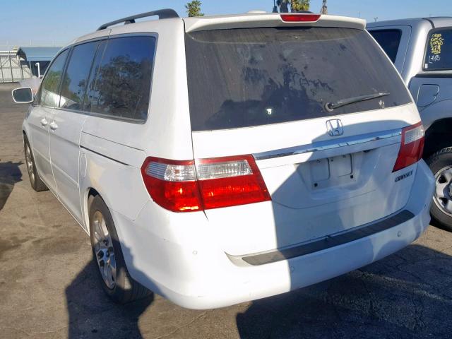 5FNRL38895B053539 - 2005 HONDA ODYSSEY TO WHITE photo 3