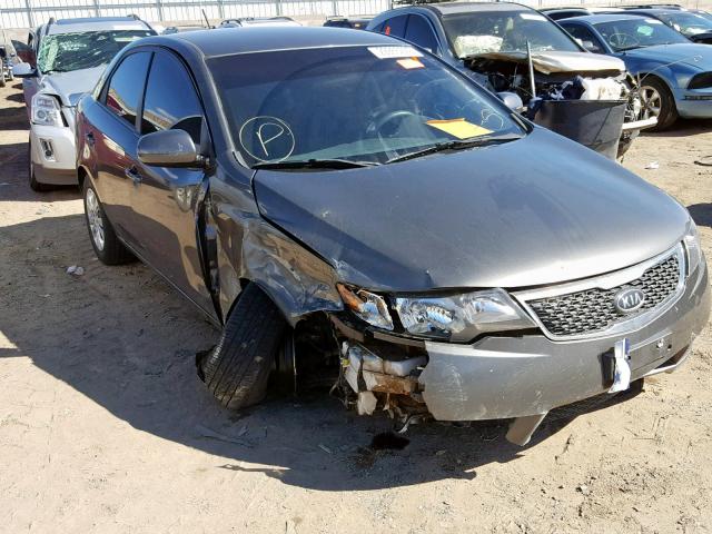 KNAFU4A29D5739251 - 2013 KIA FORTE EX GRAY photo 1