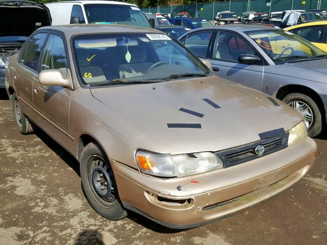 1NXBB02E4TZ415813 - 1996 TOYOTA COROLLA DX GOLD photo 1