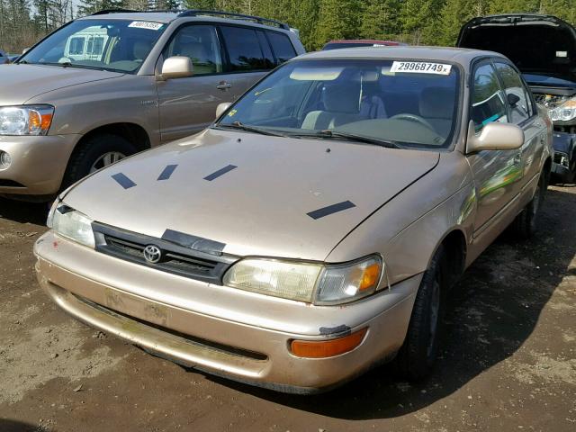 1NXBB02E4TZ415813 - 1996 TOYOTA COROLLA DX GOLD photo 2