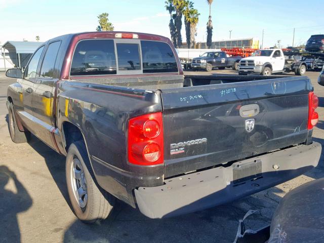 1D3HE28K75S157565 - 2005 DODGE DAKOTA QUA MAROON photo 3