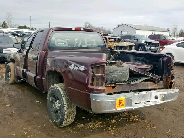 1D7HW28N15S188025 - 2005 DODGE DAKOTA QUA PURPLE photo 3