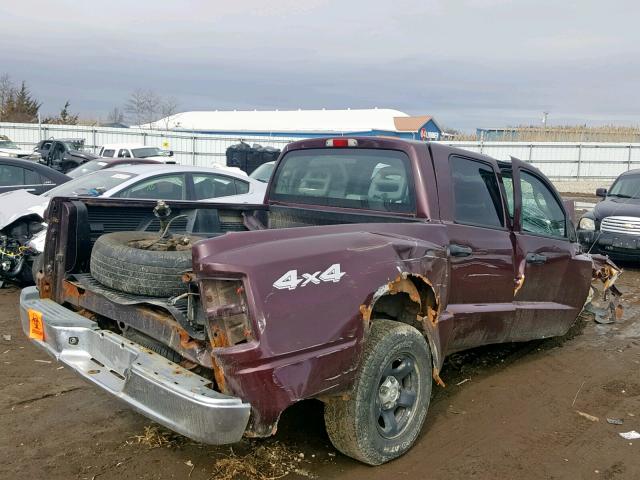 1D7HW28N15S188025 - 2005 DODGE DAKOTA QUA PURPLE photo 4