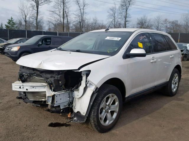 2FMDK4JC3EBB73184 - 2014 FORD EDGE SEL WHITE photo 2