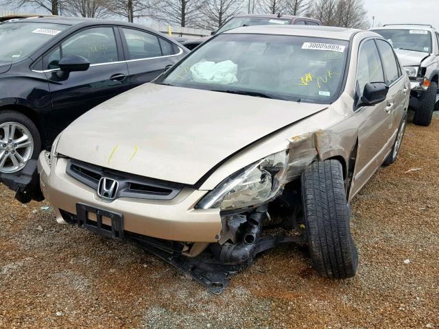 1HGCM66583A055495 - 2003 HONDA ACCORD GOLD photo 2