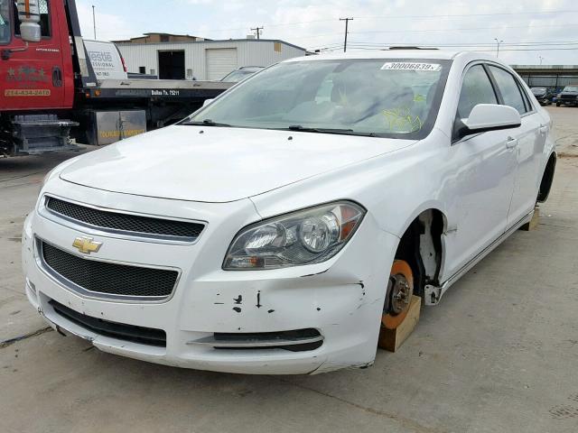 1G1ZC5EU2BF149400 - 2011 CHEVROLET MALIBU 1LT 白色 照片 2