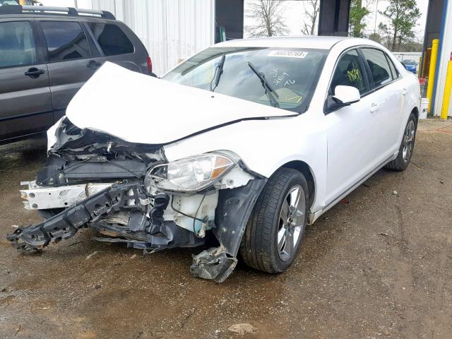 1G1ZC5EB0AF154334 - 2010 CHEVROLET MALIBU 1LT 白色 照片 2