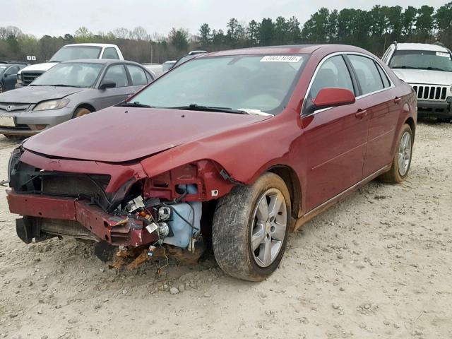 1G1ZC5E19BF288669 - 2011 CHEVROLET MALIBU 1LT 勃艮第红 照片 2
