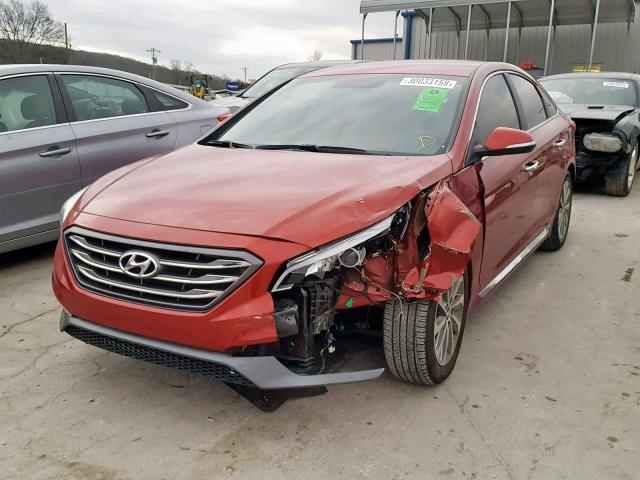 5NPE34AF7FH045701 - 2015 HYUNDAI SONATA SPO MAROON photo 2