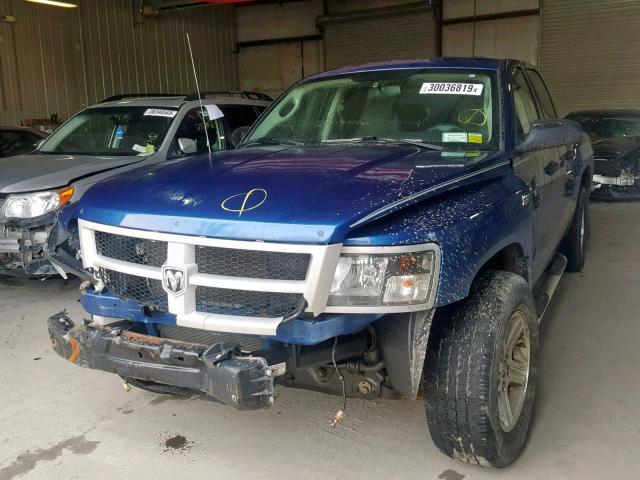 1D7RW3GP5BS672627 - 2011 DODGE DAKOTA SLT BLUE photo 2