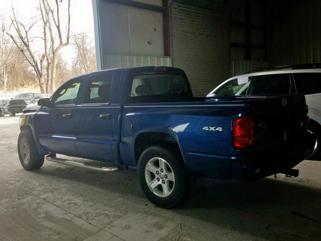 1D7RW3GP5BS672627 - 2011 DODGE DAKOTA SLT BLUE photo 3