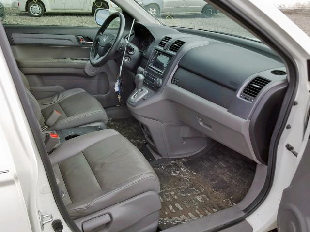 JHLRE48727C036866 - 2007 HONDA CR-V EXL WHITE photo 5