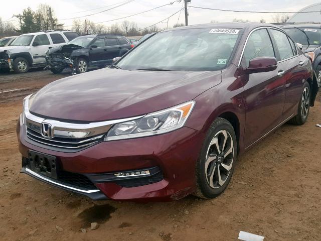 1HGCR2F84GA004313 - 2016 HONDA ACCORD EXL MAROON photo 2