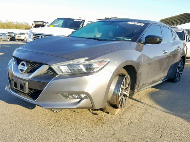 1N4AA6APXGC426146 - 2016 NISSAN MAXIMA 3.5 CHARCOAL photo 2