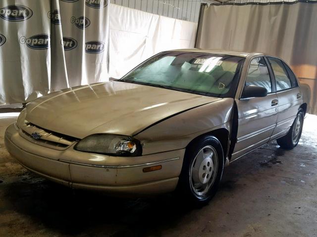 2G1WL52M5W9150319 - 1998 CHEVROLET LUMINA BAS Qızıl foto 2