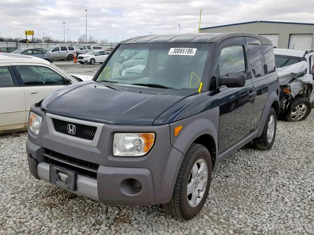 5J6YH28574L006996 - 2004 HONDA ELEMENT EX BLACK photo 2