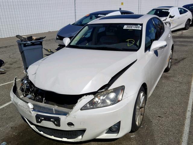 JTHBF5C27B5131576 - 2011 LEXUS IS 250 WHITE photo 2