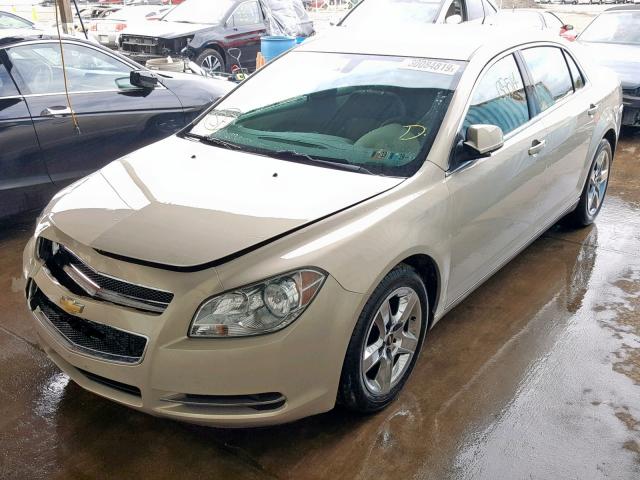 1G1ZC5EB0AF152681 - 2010 CHEVROLET MALIBU 1LT თაფლისფერი ფოტო 2