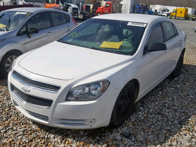 1G1ZB5E14BF327977 - 2011 CHEVROLET MALIBU LS თეთრი ფოტო 2