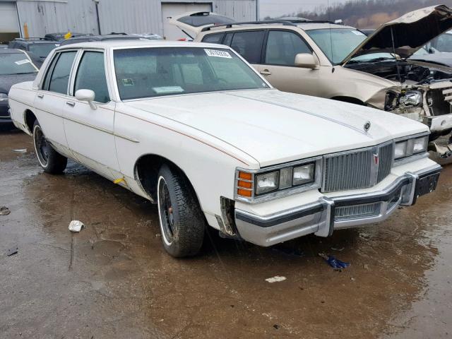 2G2AN69A3B1751061 - 1981 PONTIAC BONNEVILLE CREAM photo 1